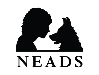 Neads Vector Logo 2022