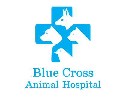 Blue Cross Animal Hospital Vector Logo